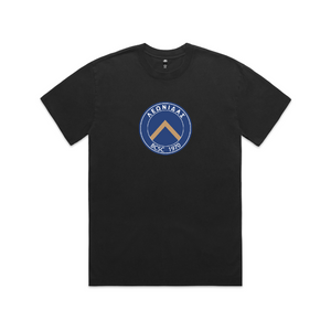 HEAVY FADED TEE - FADED BLACK