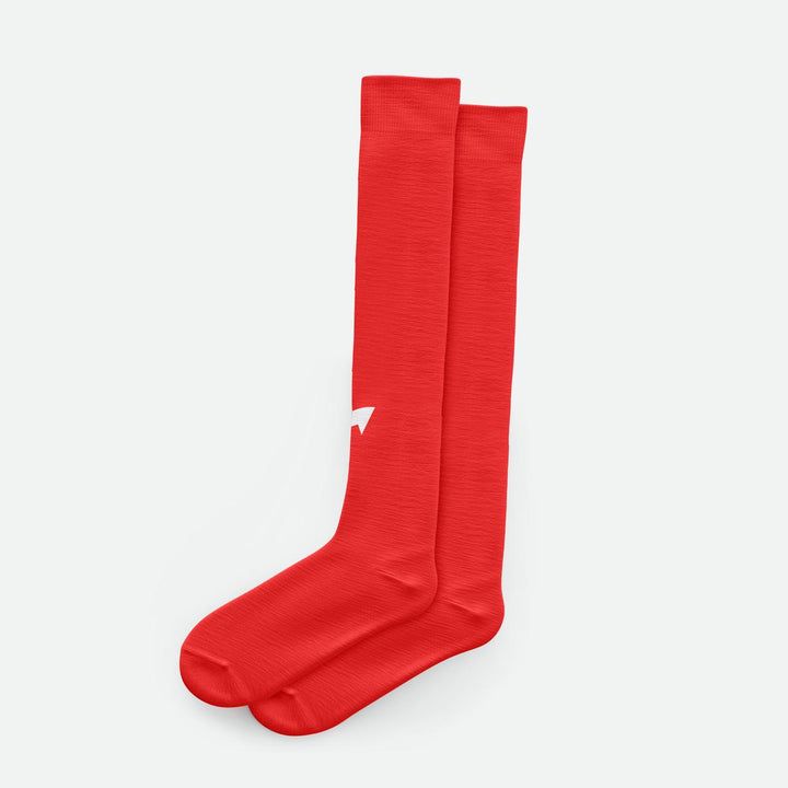 ERSC KickStarters